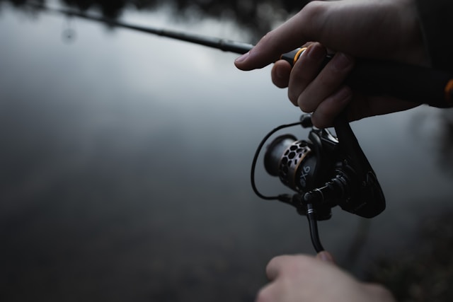 victor-g-T4qTbC8ig08-unsplash